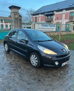 PEUGEOT 207